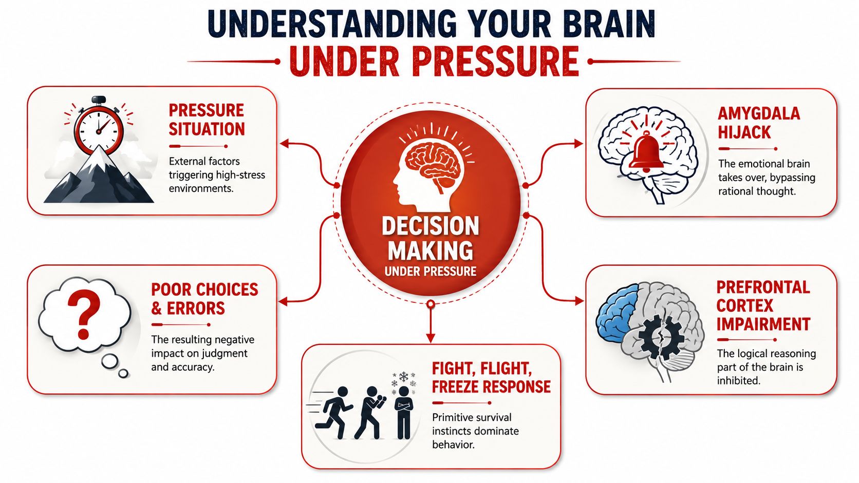 An infographic illustrating how the brain functions under stress, highlighting decision making processes and psychological responses.