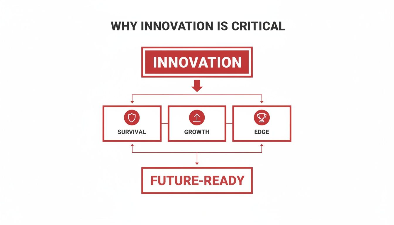 Flowchart showing innovation drives survival, growth, and competitive edge, making businesses future-ready.